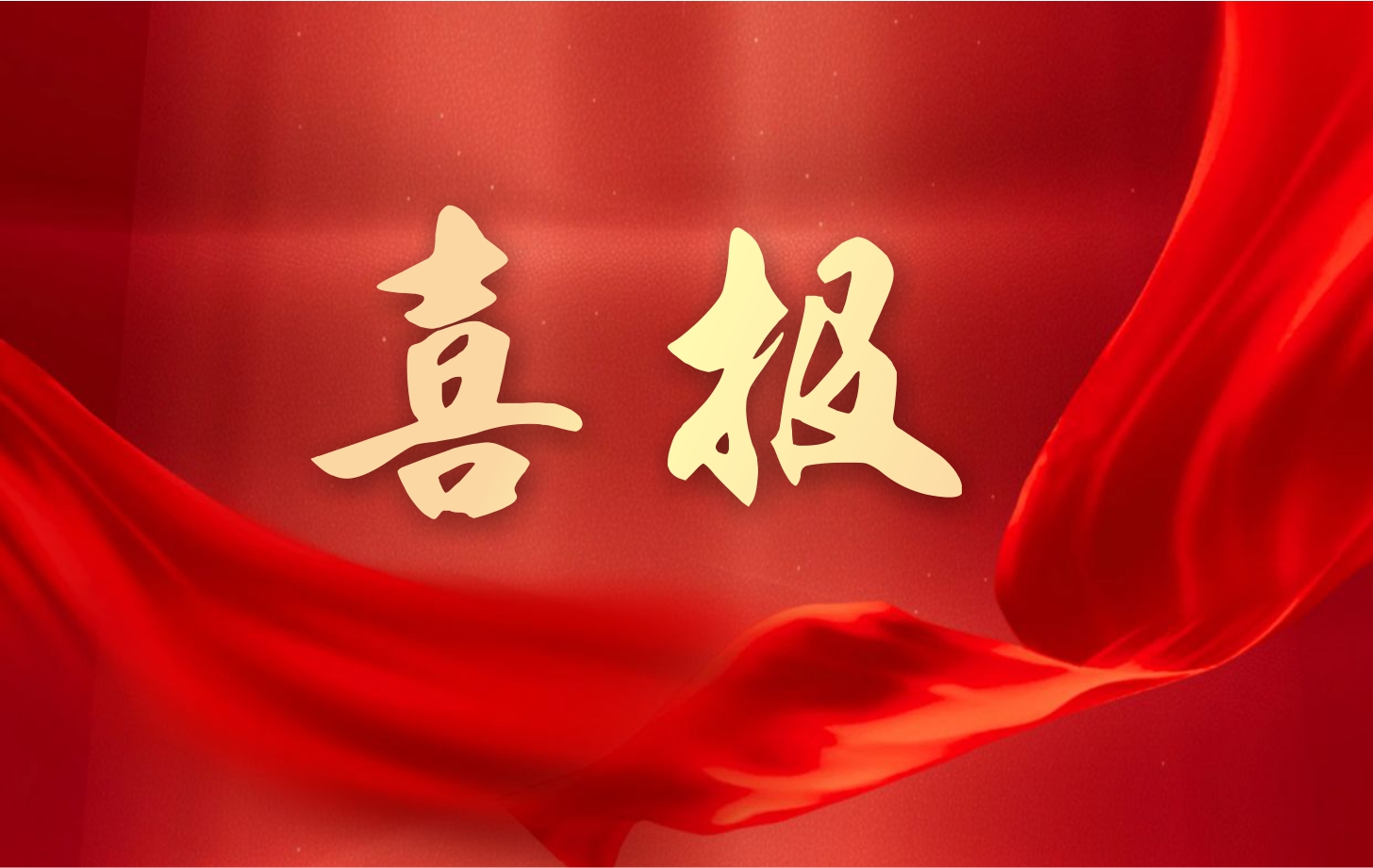 營收凈利雙增長！依頓電子2025年一季度經(jīng)營業(yè)績續(xù)寫高質(zhì)量發(fā)展華章